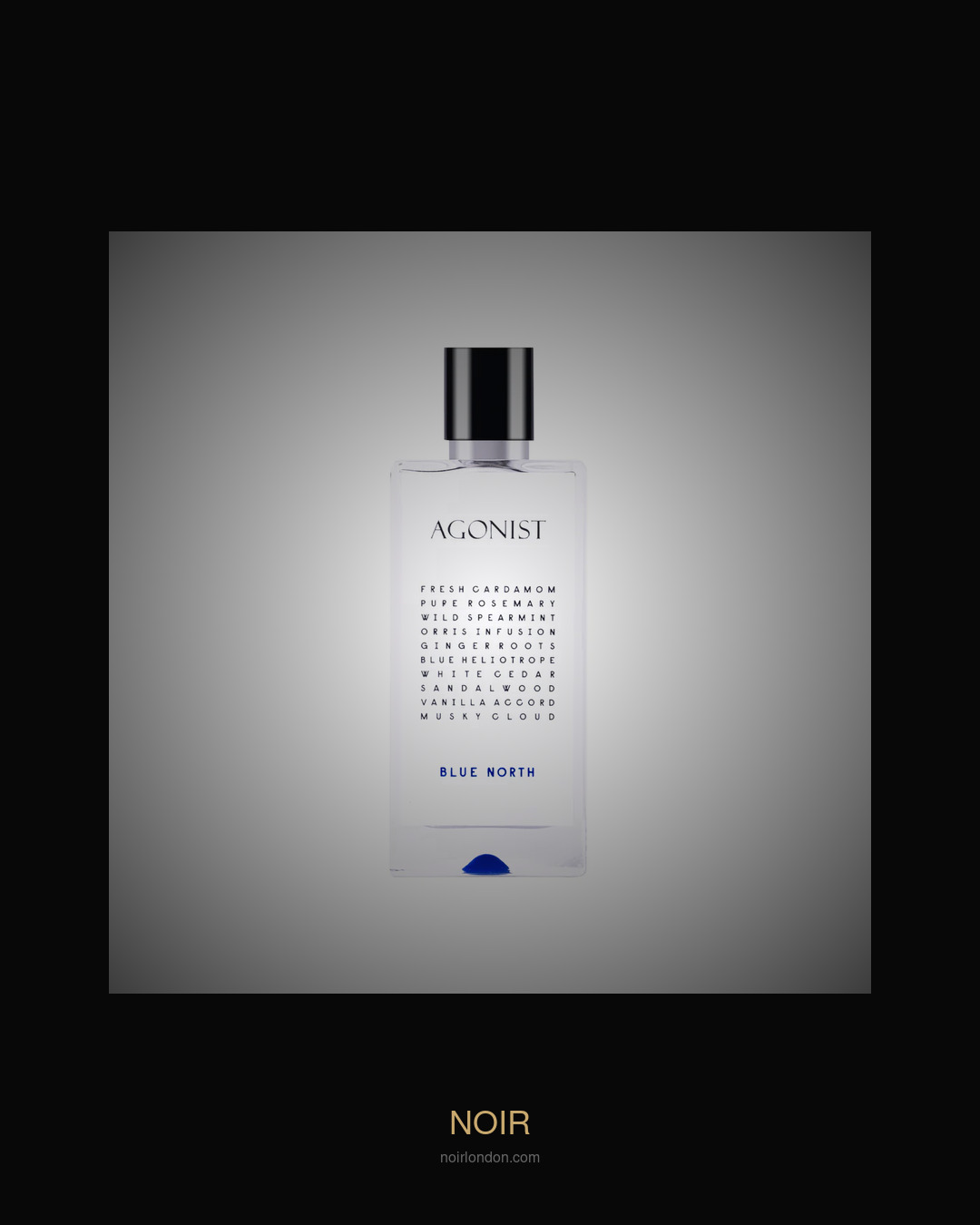 Agonist Blue North detail