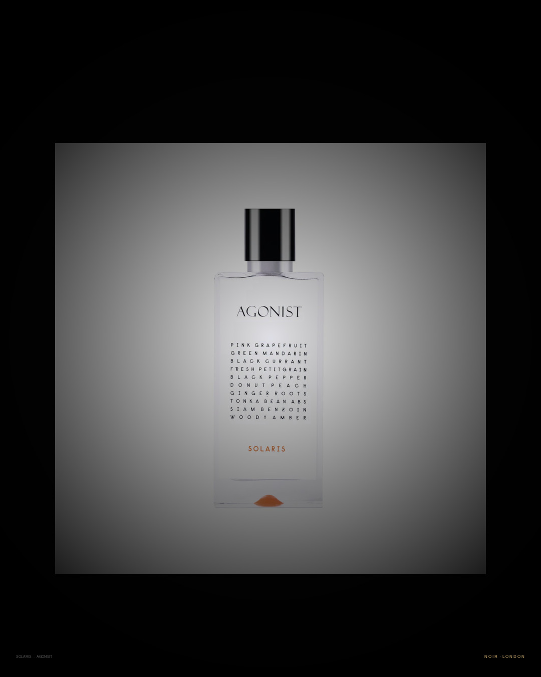 Agonist Solaris detail
